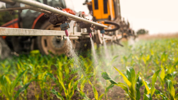 Best Pest Removal Services  in Lake Grove, NY